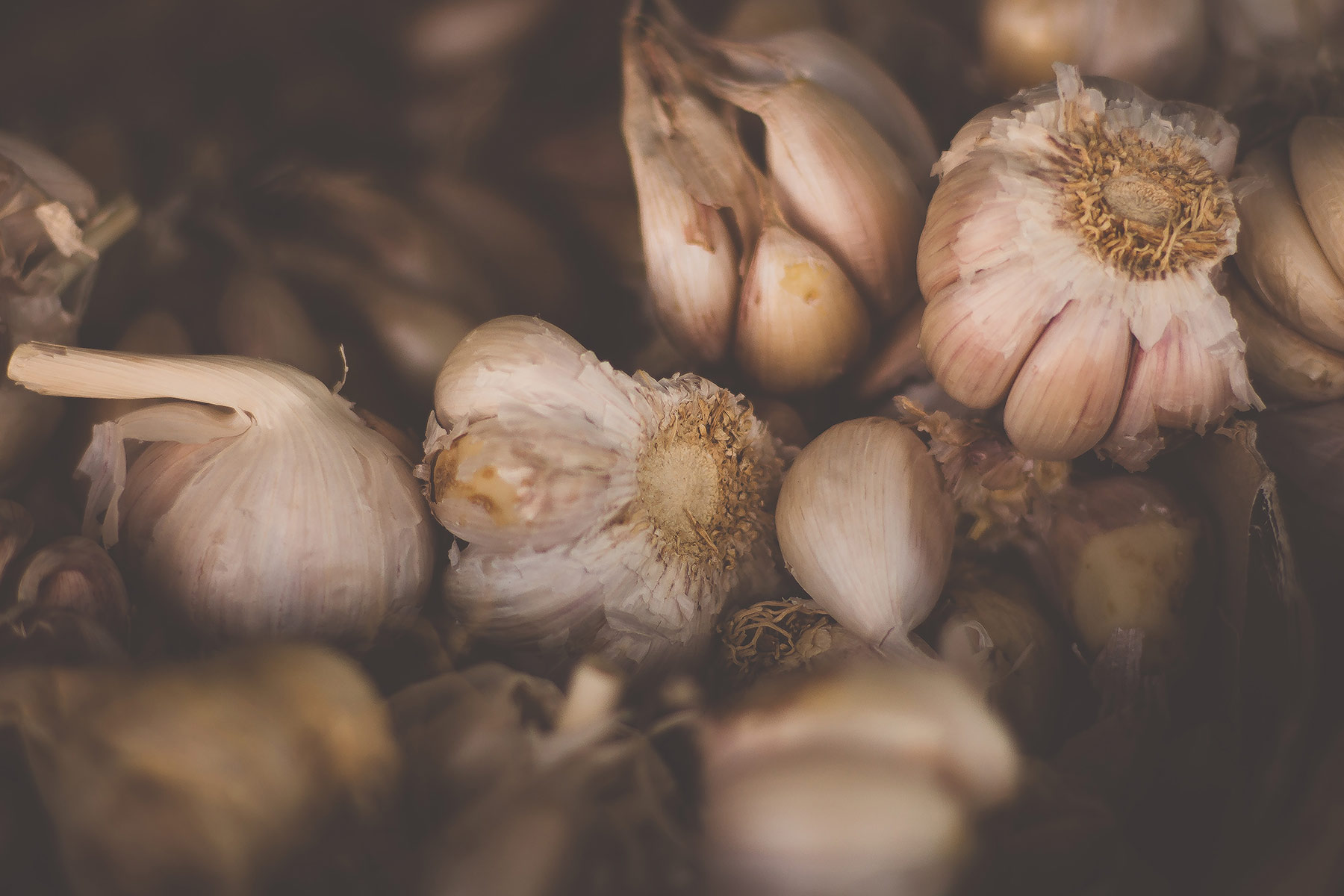 Garlic and Onions Reduce Breast and Colon Cancer Risk